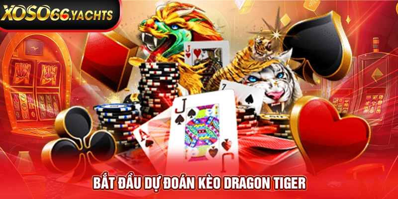 Bắt đầu dự đoán kèo Dragon Tiger Bắt đầu dự đoán kèo Dragon Tiger
